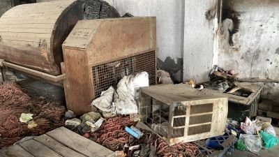 Fire Damaged Plant & Machineries & Other Assets